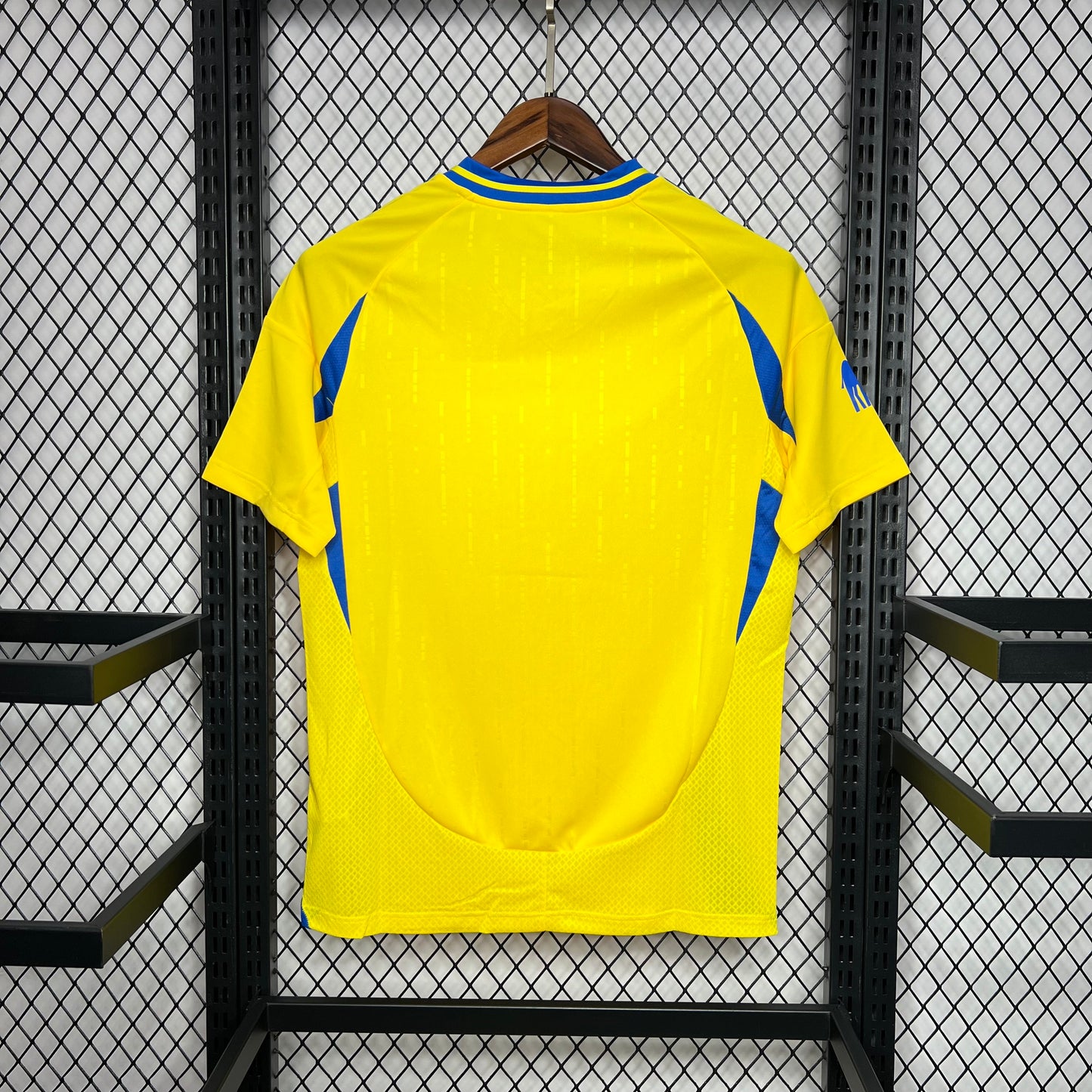 ALL NASSR (Casa) 2024 - 2025